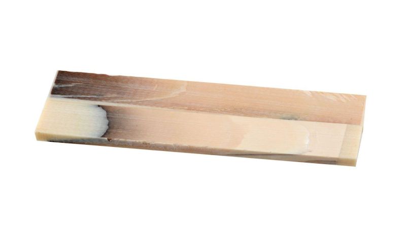 Non-Polished Stabilized Ivory Mammoth Pulp Handle