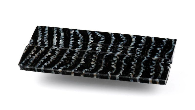 Stabilized Mammoth Molar Raffir - Black