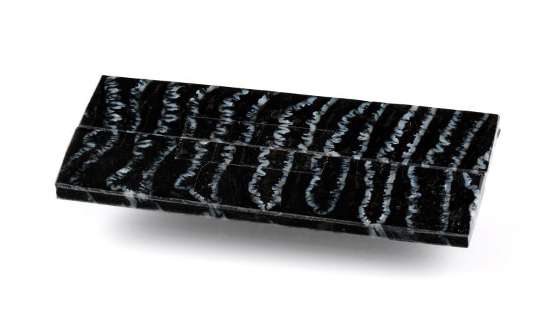 Molaire de Mammouth Stabilisé Raffir - noir