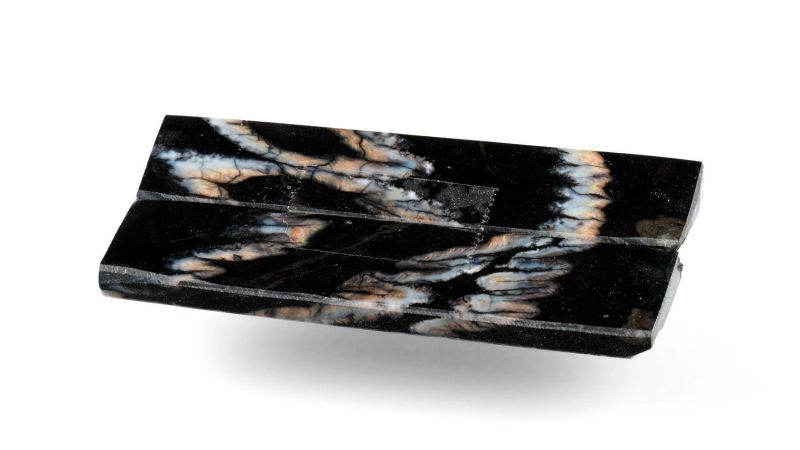 Stabilized Mammoth Molar Raffir - Black