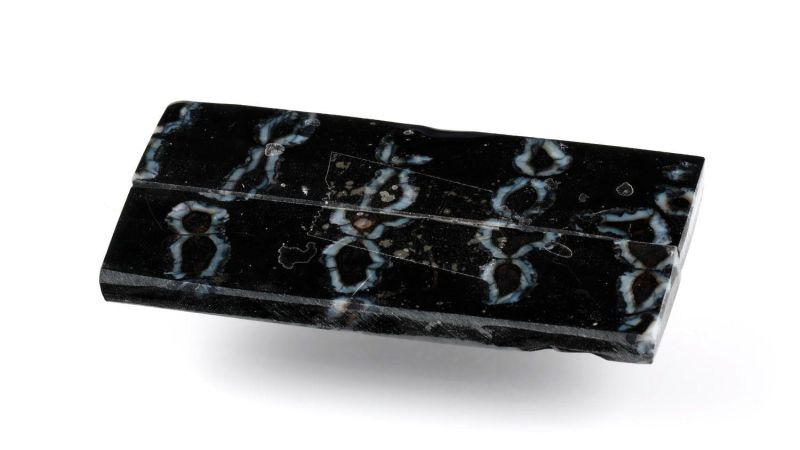 Molar di Mammut Stabilizzato Raffir - Nero