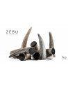 Zebu black tip: the resistant and aesthetic material for your creations