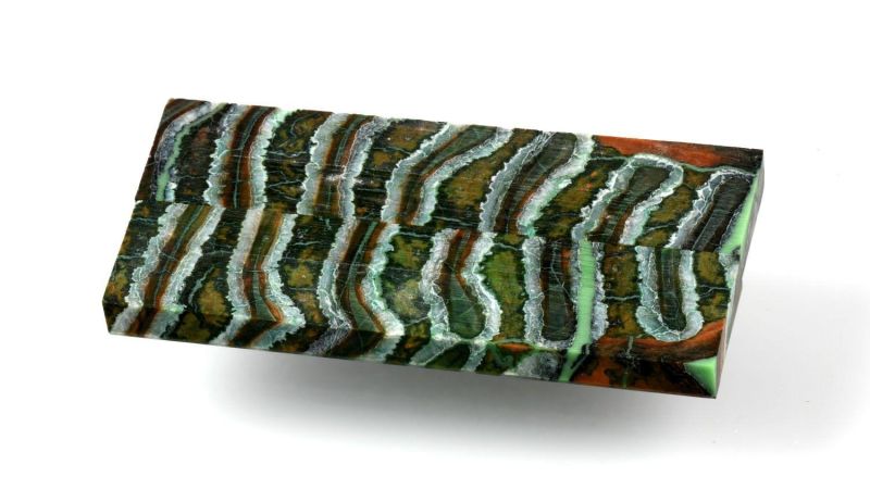 Manico di Molar di Mammut Stabilizzato