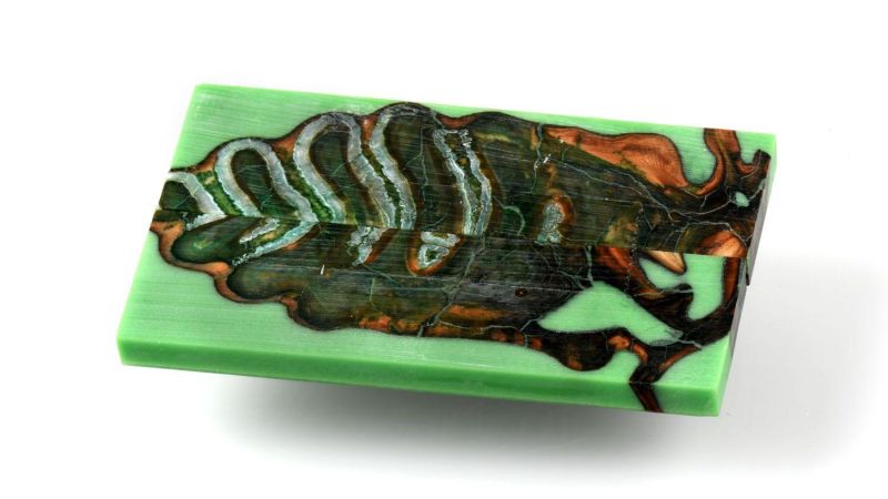 Manico di Molar di Mammut Stabilizzato