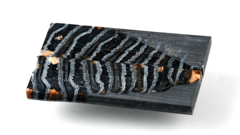 Griff von Mammut Backenzahn stabilisiert