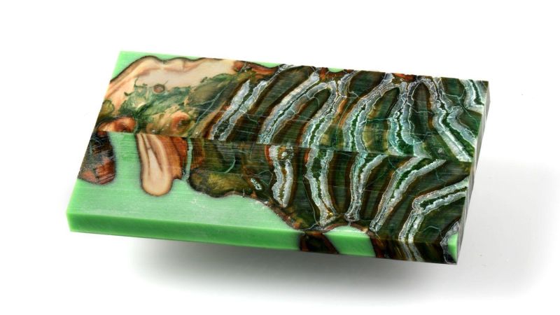 Manico di Molar di Mammut Stabilizzato