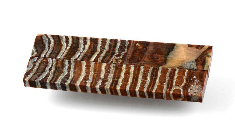 Manico di Molar di Mammut Stabilizzato