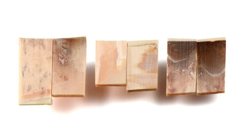 Lot de 3 Manches de Pulpe Ivoire de Mammouth stabilisé - non poli