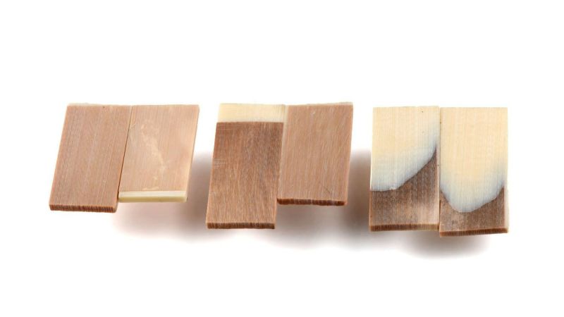 Lotto di 3 manici di polpa di avorio di mammut stabilizzata - non lucidati