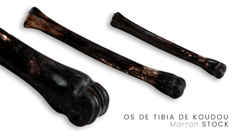 Tibia de Koudou Estabilizada - Multicolor - África del Sur