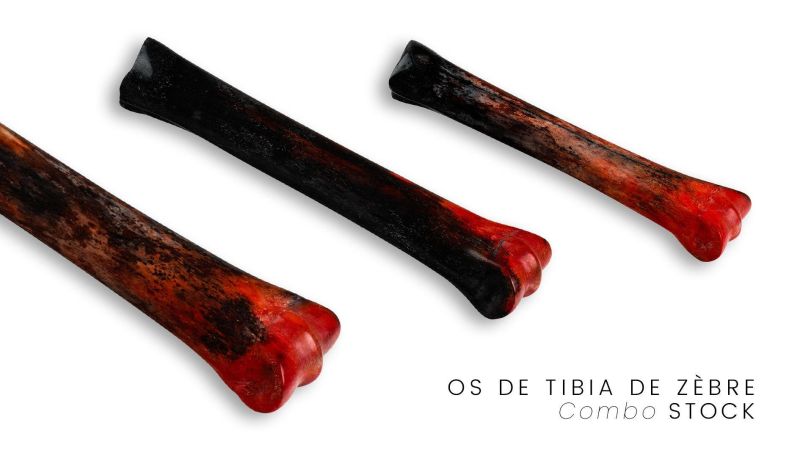 Tibia Colored Stabilized Zebra Tibia - Multi-color - South Africa Colour Natural ...