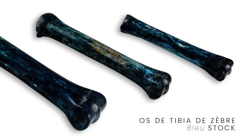 Tibia de Cebra Estabilizada - Multicolor - África del Sur