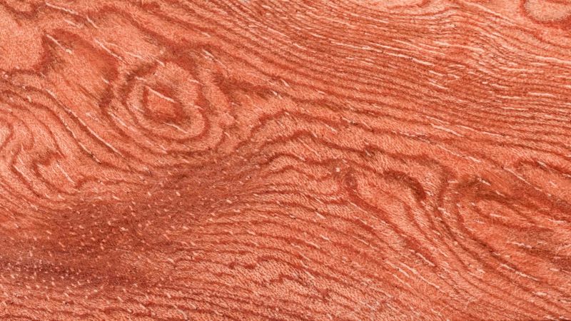 Sipo Nid de Guêpes - Série Limitée (blocs)