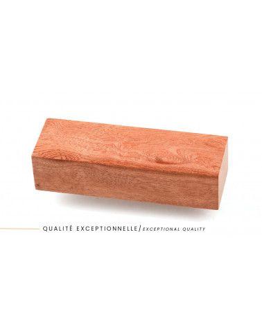 23100237