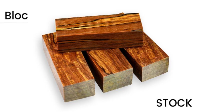 Stabilized spalted beech block - Made in France (multi-colored)