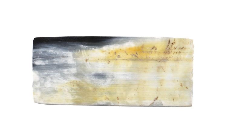 Piastra Piatta di Corno di Zebra