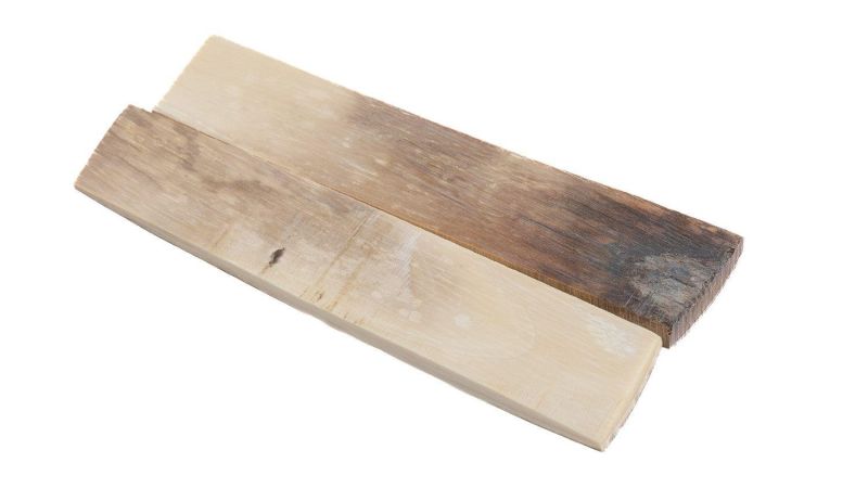 Manche ivoire de mammouth