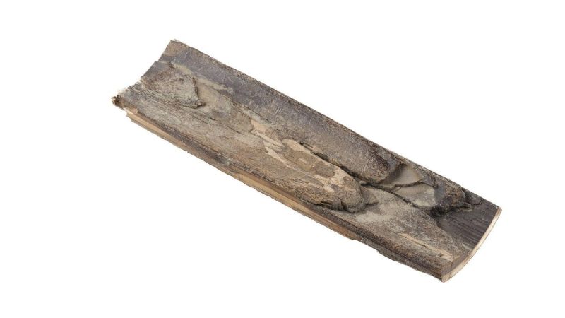 Coque ivoire de mammouth
