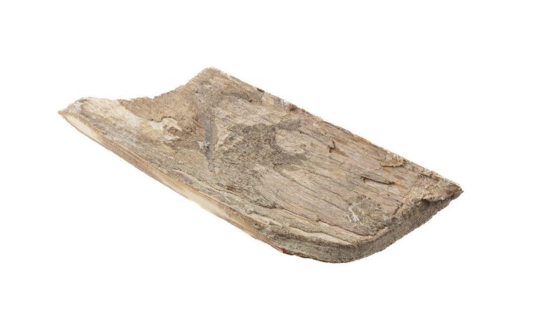 Mammoth ivory shell