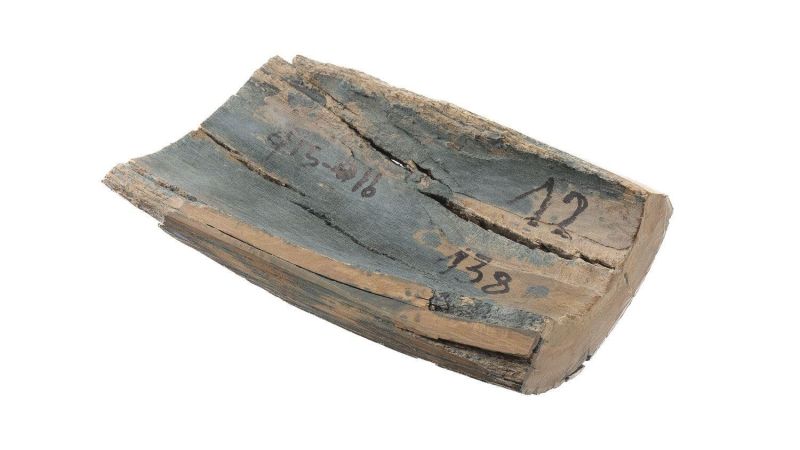 Coque ivoire de mammouth