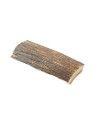 23100536