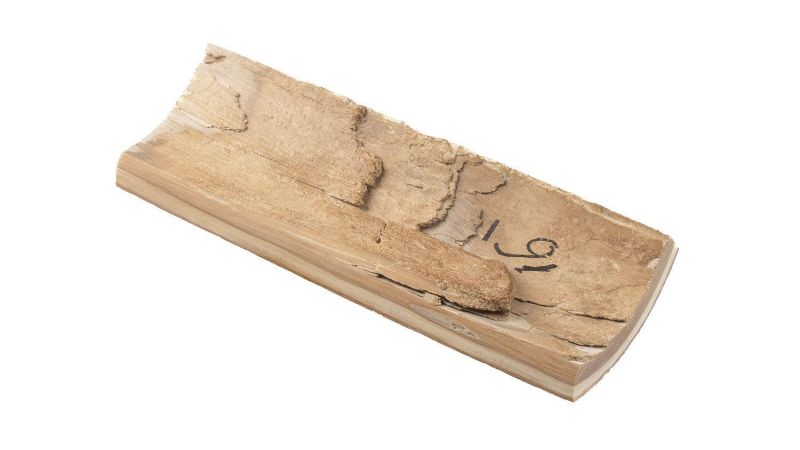 Coque ivoire de mammouth