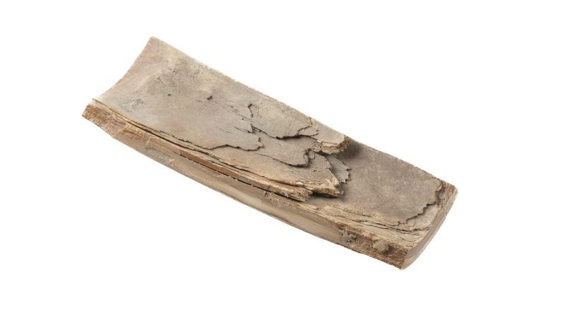 Coque ivoire de mammouth