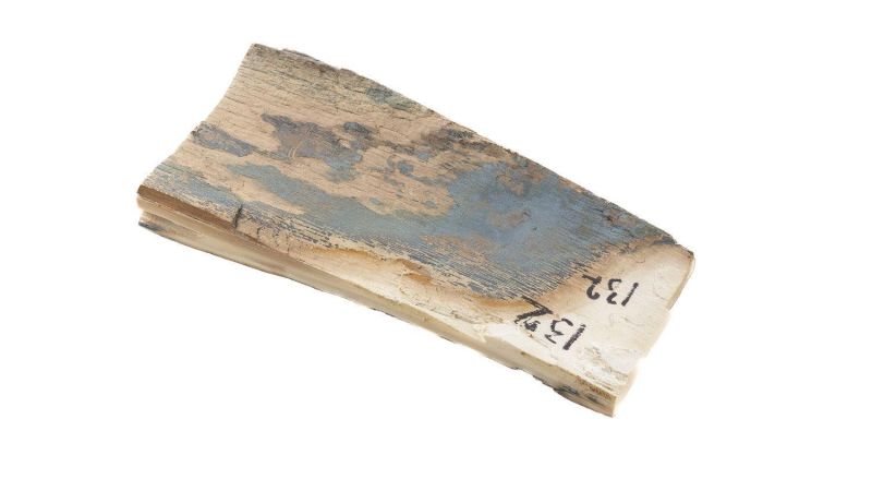 Coque ivoire de mammouth