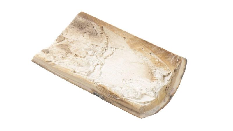 Coque ivoire de mammouth