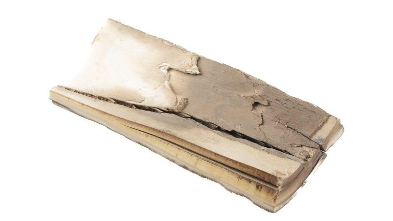 Coque ivoire de mammouth