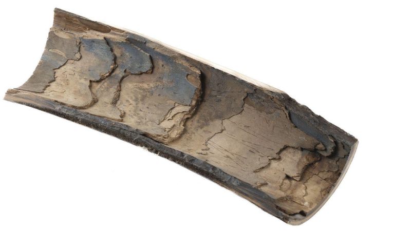 Coque ivoire de mammouth