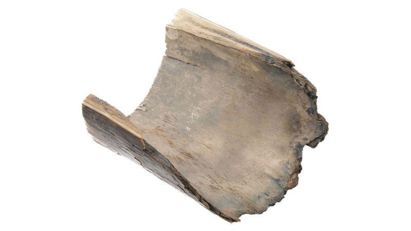 Mammoth ivory shell