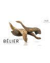 Horn von widder ganz - 1kg -