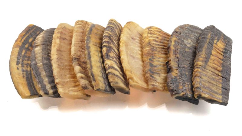 Flattened and planed ram horn handle - primitive look