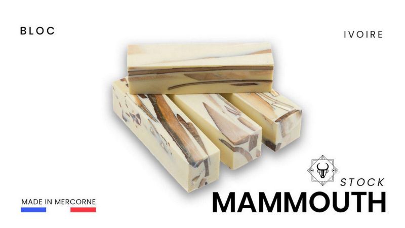 Bloc de fragments de mammouths véritables stabilisé - fusion entre élégance et modernité