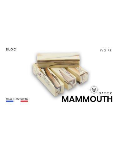 Bloc de fragments de mammouths véritables stabilisé - fusion entre élégance et modernité