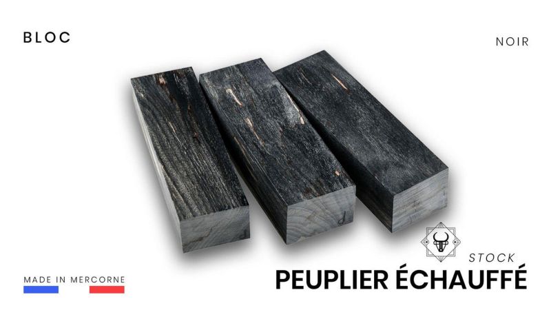 Stabilized spalted poplar block - Multi-colored - Made in France