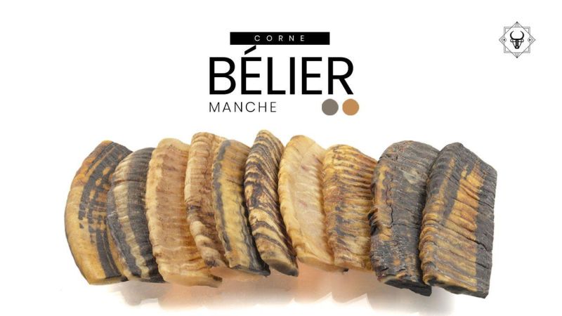 Shofar - Corne de Belier Véritable