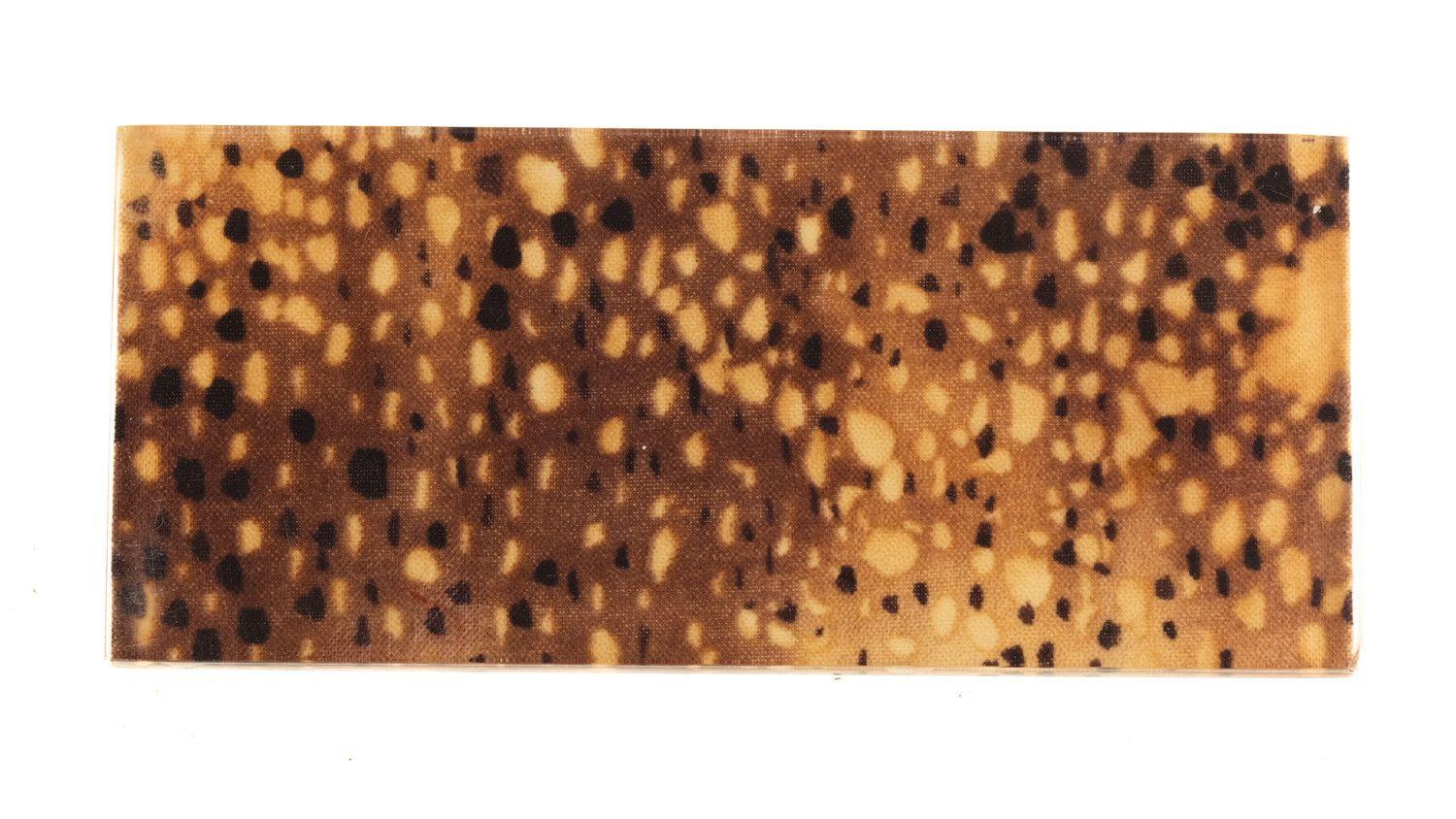 24040440