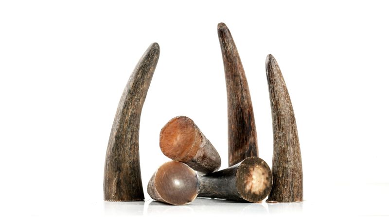 Pointes blonde de zébu CAOTL59 0.5kg