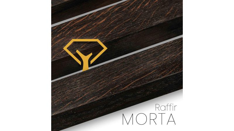 Maniglia di morte stabilizzata RAFFIR