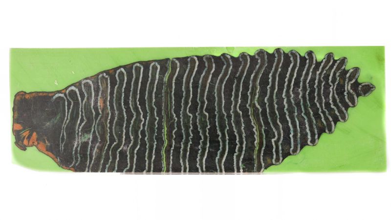 24070080