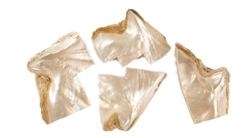 Lote de recortes de nácar blanco