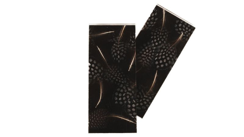 Inclusion de multi plumes véritables de pintade naturelle fond noir - Résine PMMA - made in France