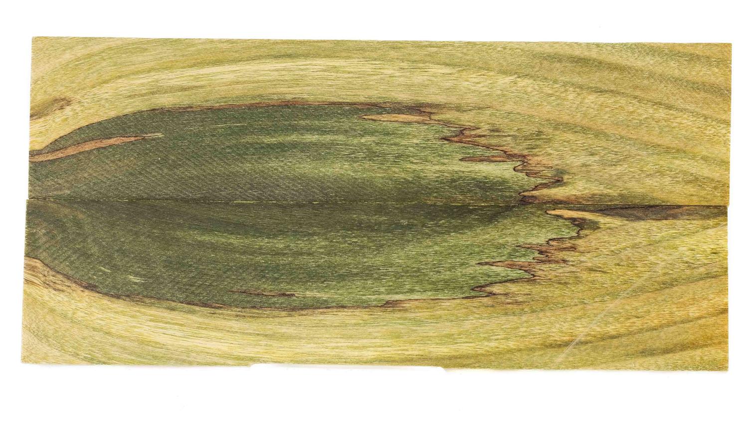 24080087