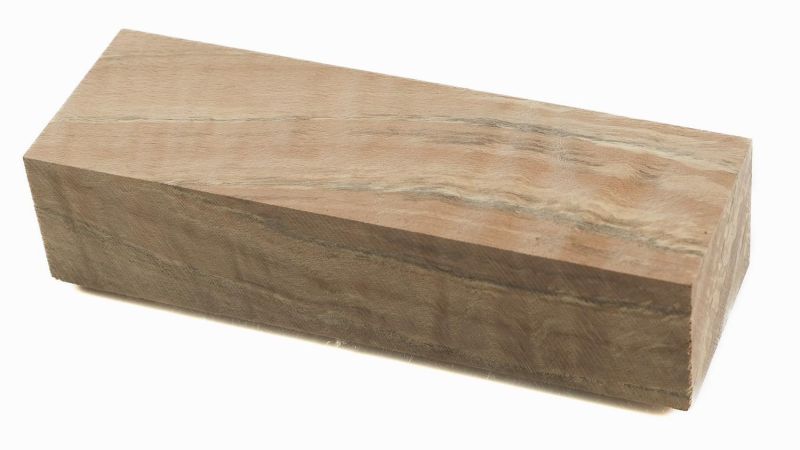 Bloc de loupe de hêtre échauffé - facus sylvatica