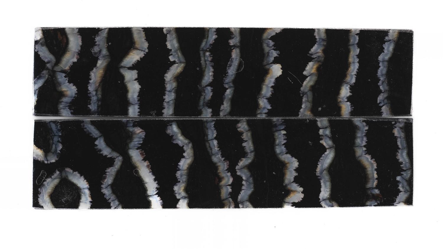 24080242