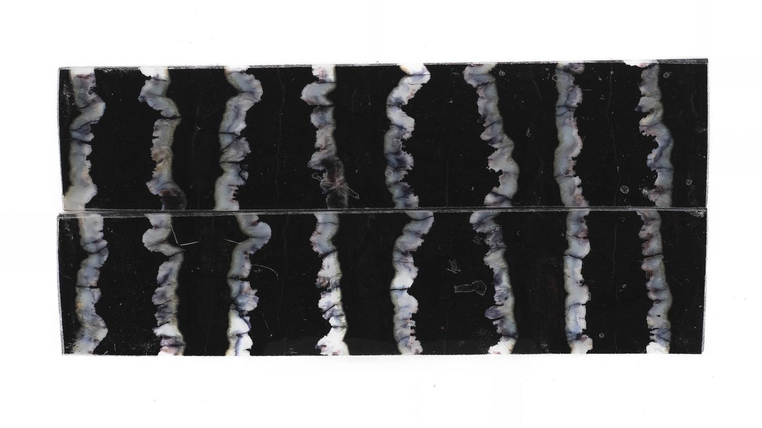 24080253