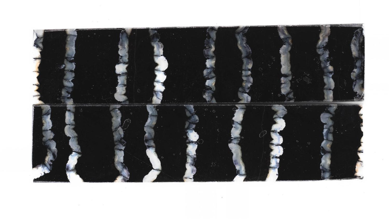 24080254