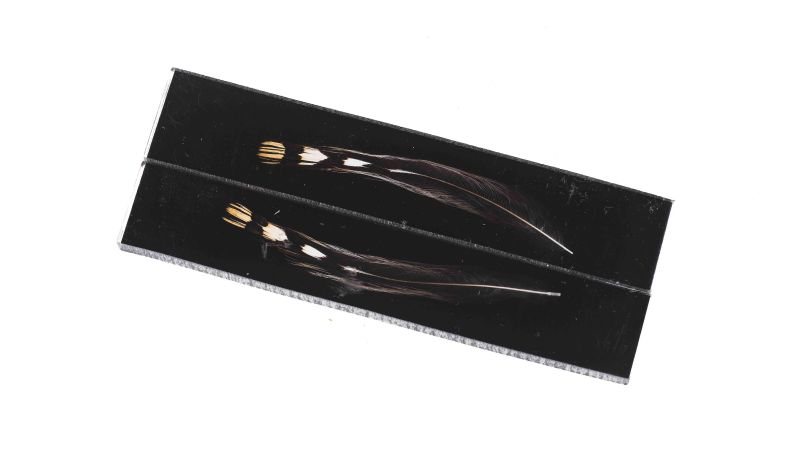 Einschluss echter Dschungelhahnfedern - PMMA-Harz - hergestellt in Frankreich